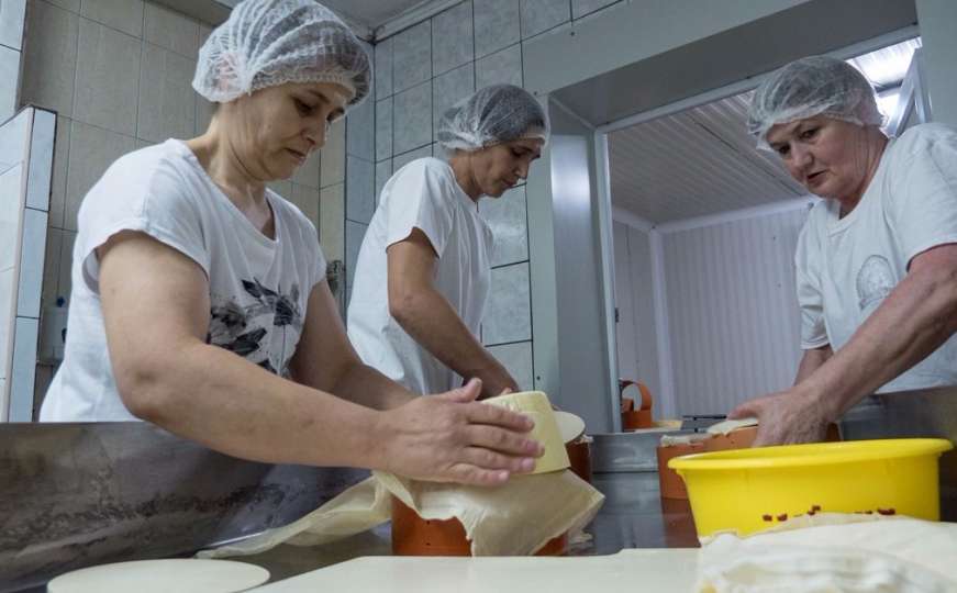 Dokaz da je u BiH uspjeh moguć: U Livnu proizvode najbolji sir na Balkanu